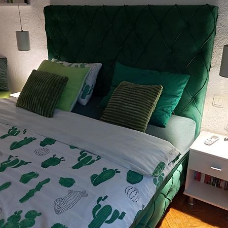Green Cactus Rooms - unique&cozy house Senta Extérieur photo