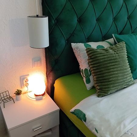 Green Cactus Rooms - unique&cozy house Senta Extérieur photo
