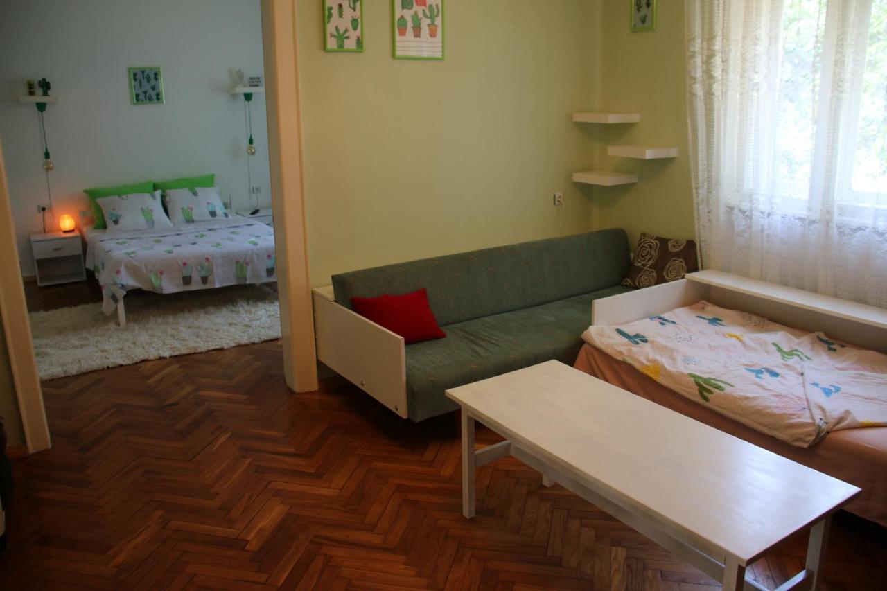 Green Cactus Rooms - unique&cozy house Senta Extérieur photo
