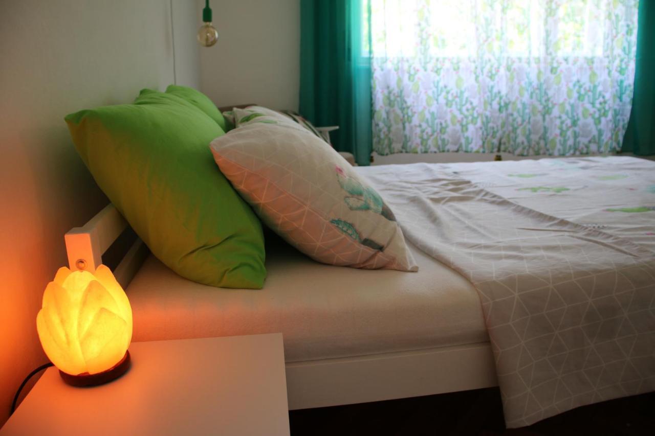 Green Cactus Rooms - unique&cozy house Senta Extérieur photo
