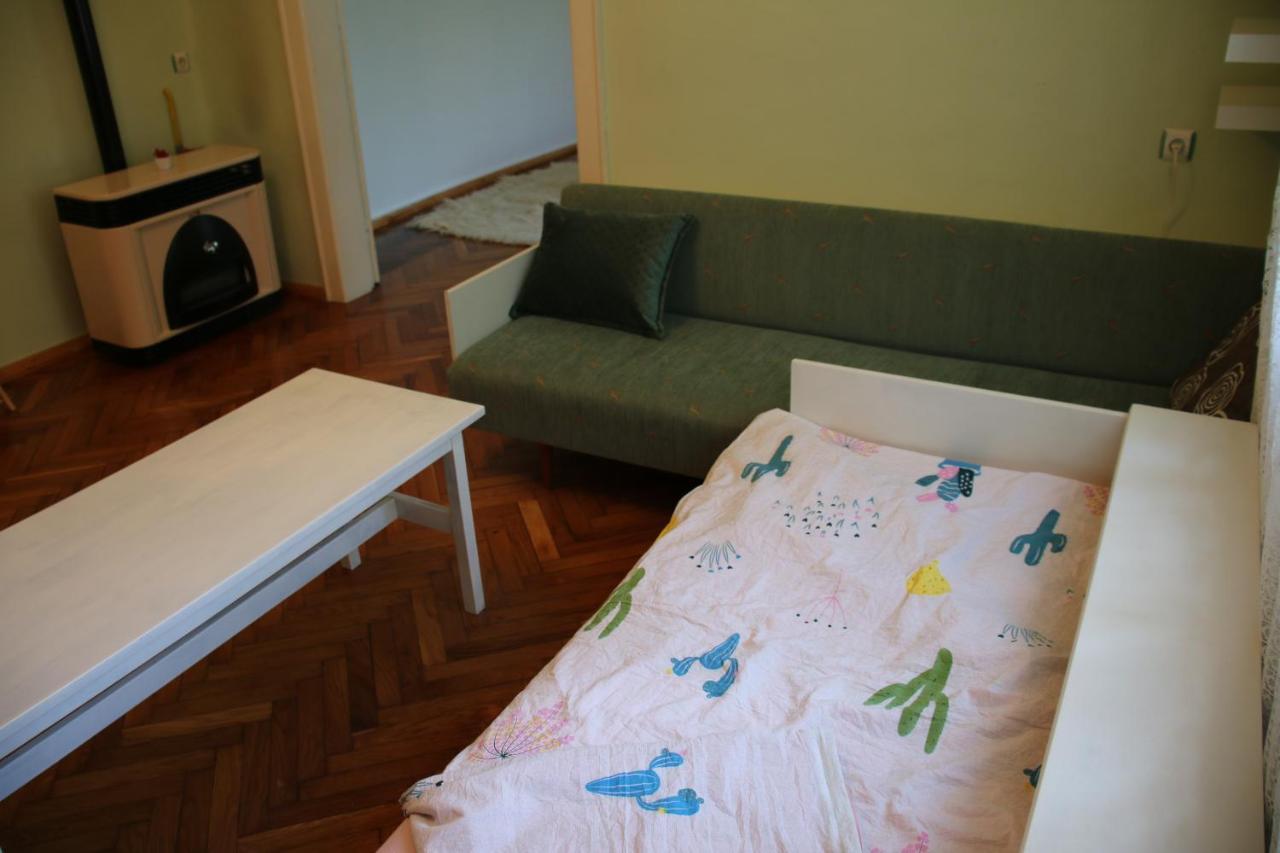 Green Cactus Rooms - unique&cozy house Senta Extérieur photo
