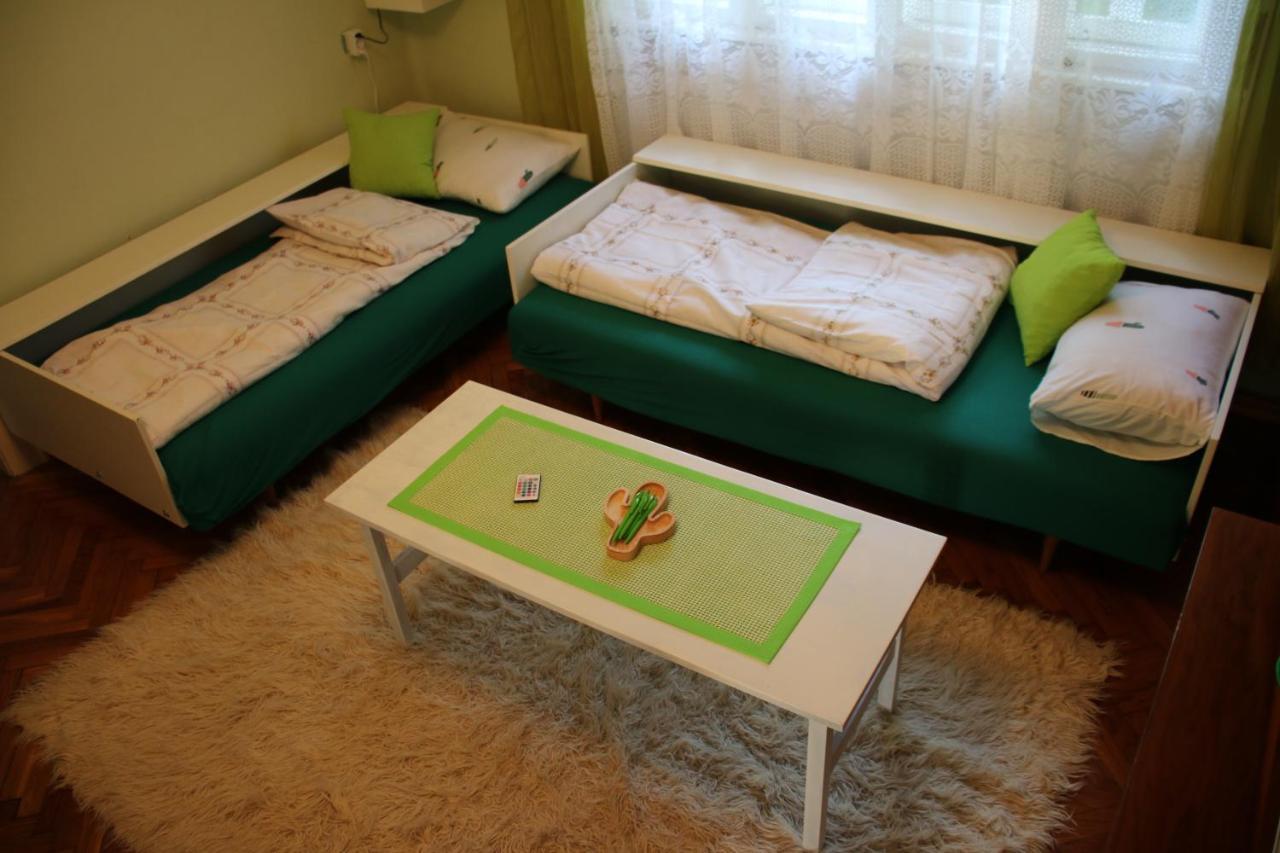 Green Cactus Rooms - unique&cozy house Senta Extérieur photo