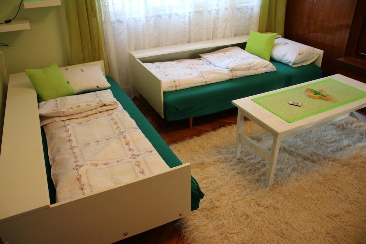 Green Cactus Rooms - unique&cozy house Senta Extérieur photo
