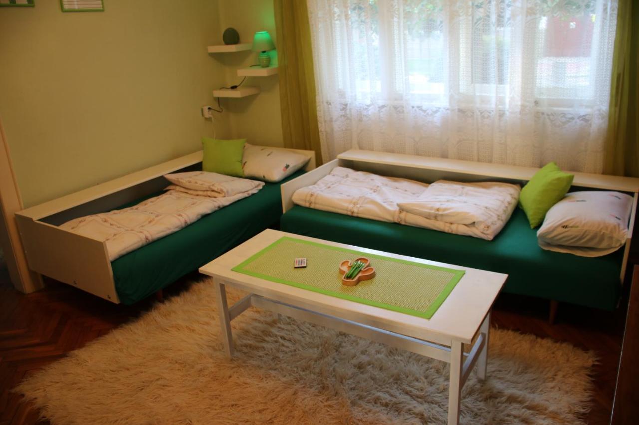 Green Cactus Rooms - unique&cozy house Senta Extérieur photo