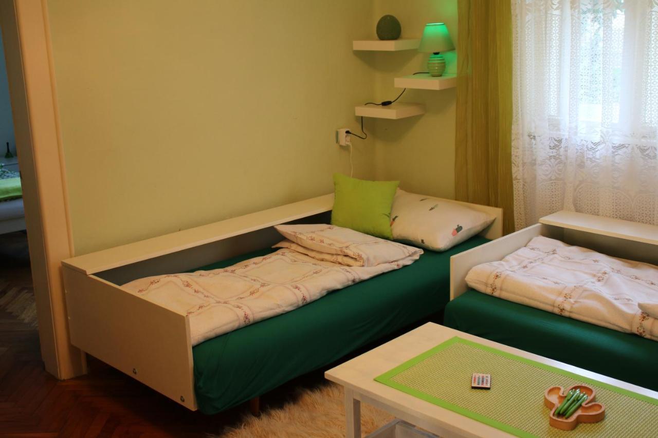 Green Cactus Rooms - unique&cozy house Senta Extérieur photo
