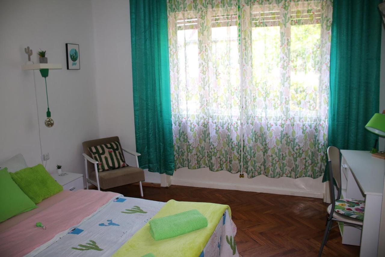Green Cactus Rooms - unique&cozy house Senta Extérieur photo