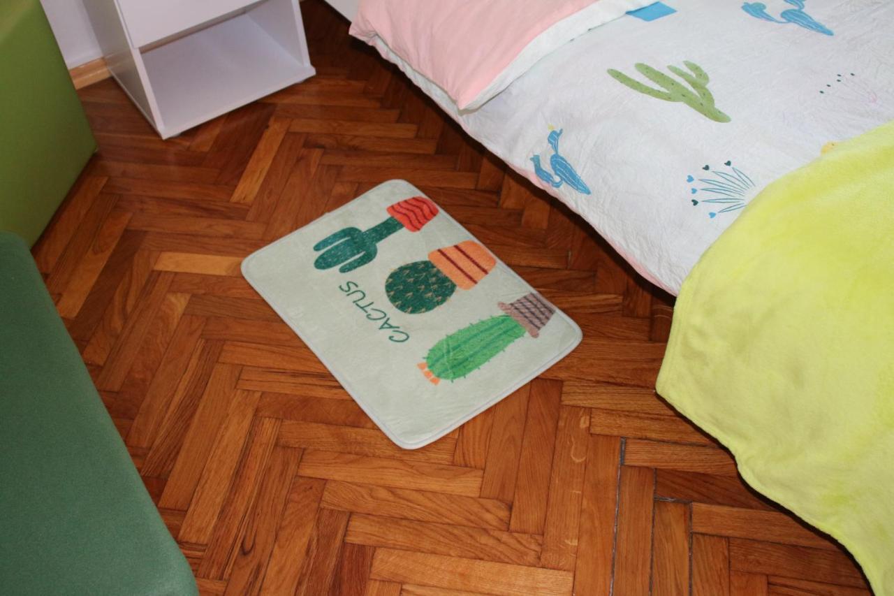 Green Cactus Rooms - unique&cozy house Senta Extérieur photo