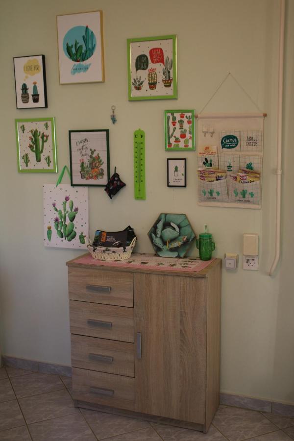 Green Cactus Rooms - unique&cozy house Senta Extérieur photo