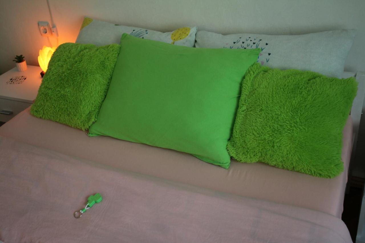 Green Cactus Rooms - unique&cozy house Senta Extérieur photo