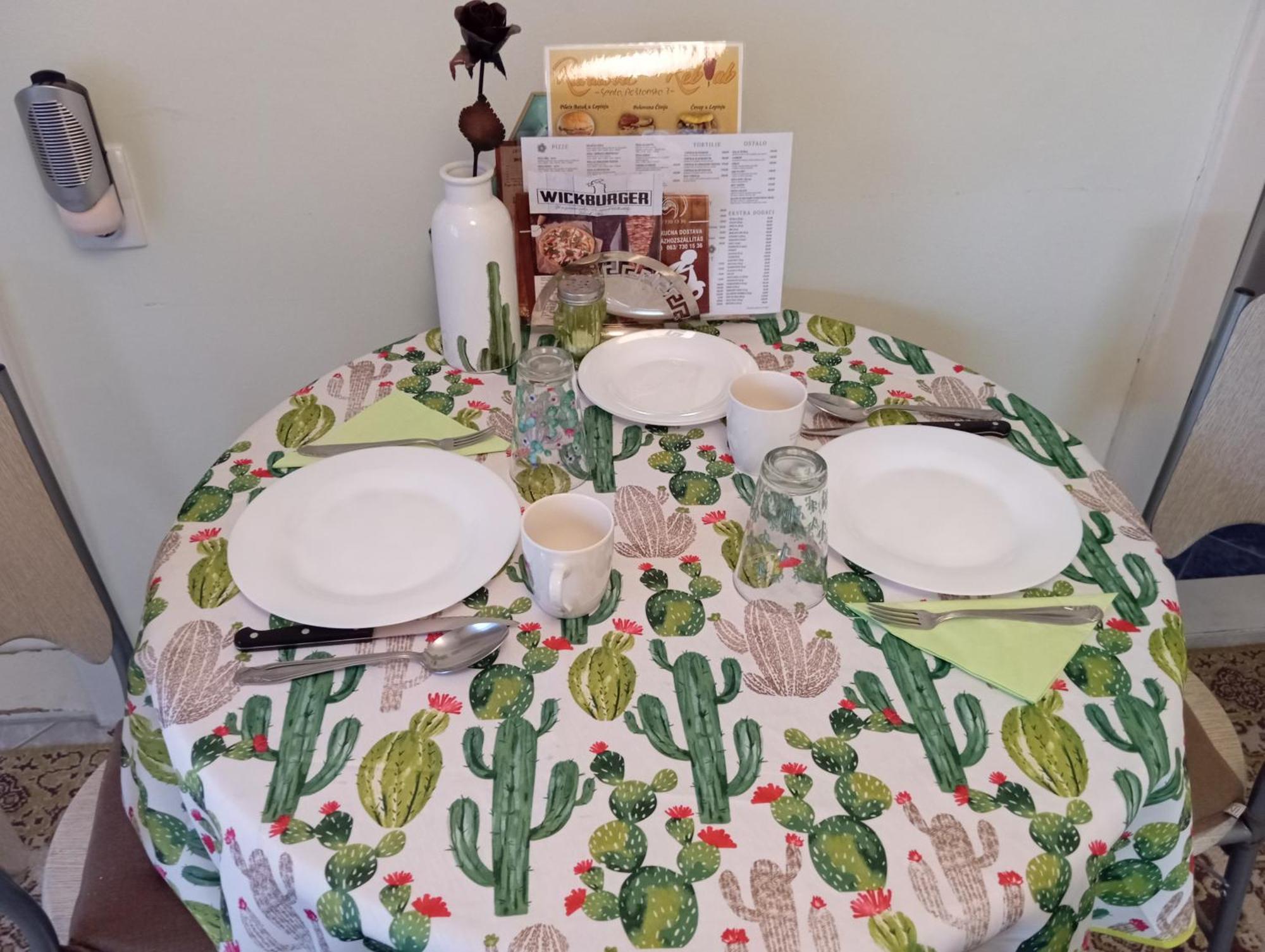 Green Cactus Rooms - unique&cozy house Senta Extérieur photo