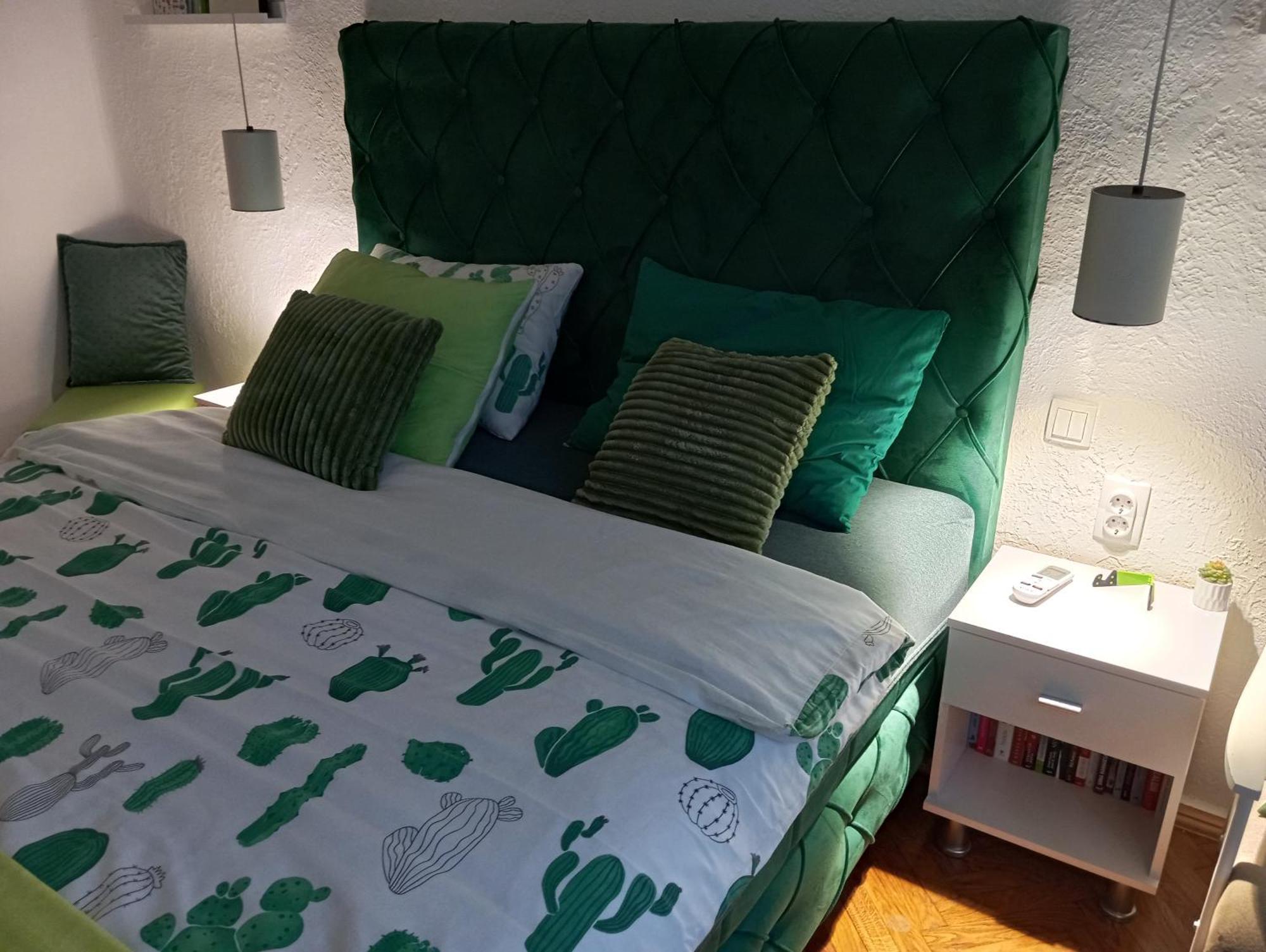 Green Cactus Rooms - unique&cozy house Senta Extérieur photo