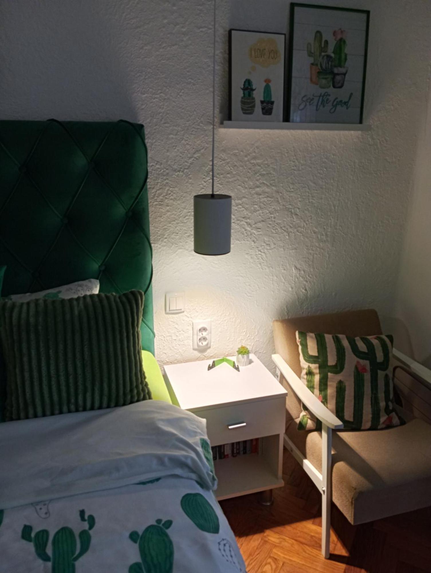 Green Cactus Rooms - unique&cozy house Senta Extérieur photo