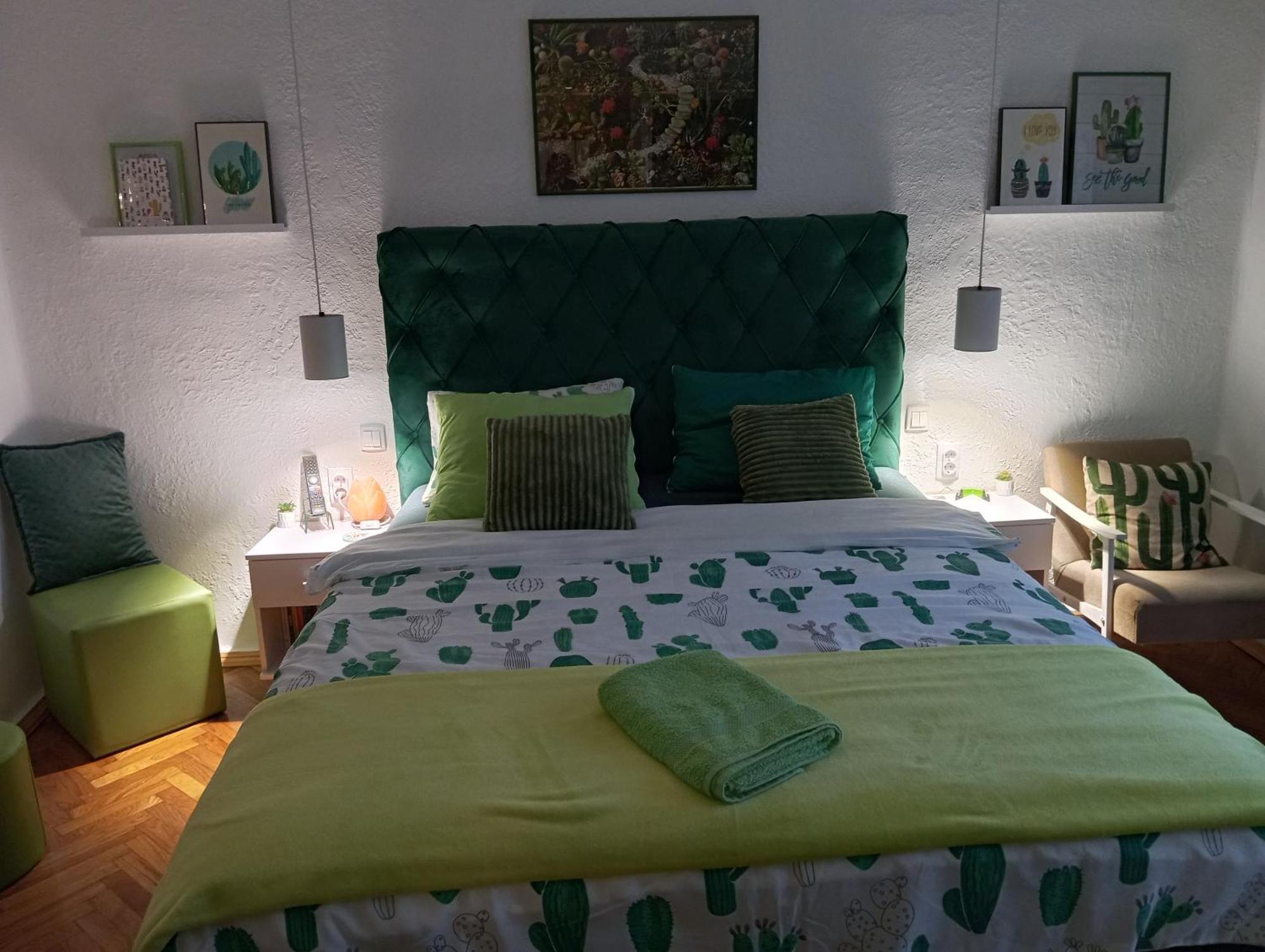 Green Cactus Rooms - unique&cozy house Senta Extérieur photo