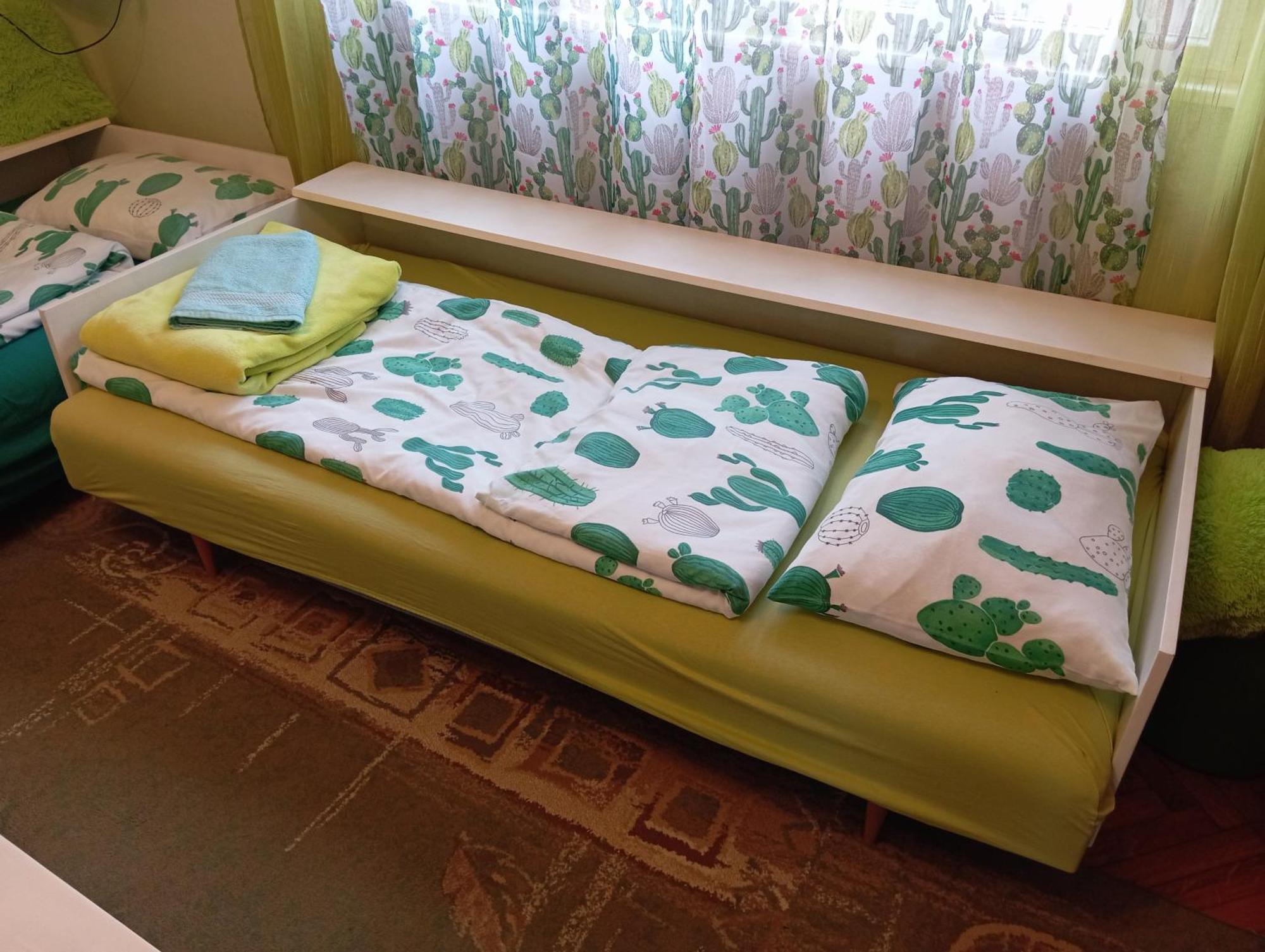 Green Cactus Rooms - unique&cozy house Senta Extérieur photo