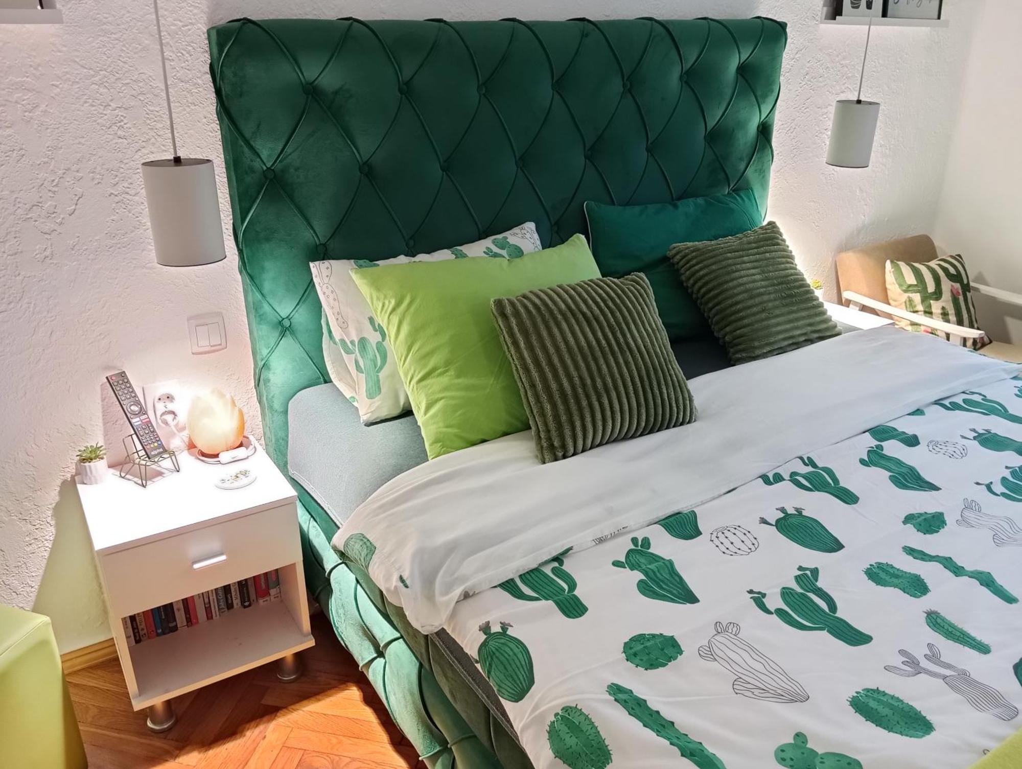 Green Cactus Rooms - unique&cozy house Senta Extérieur photo